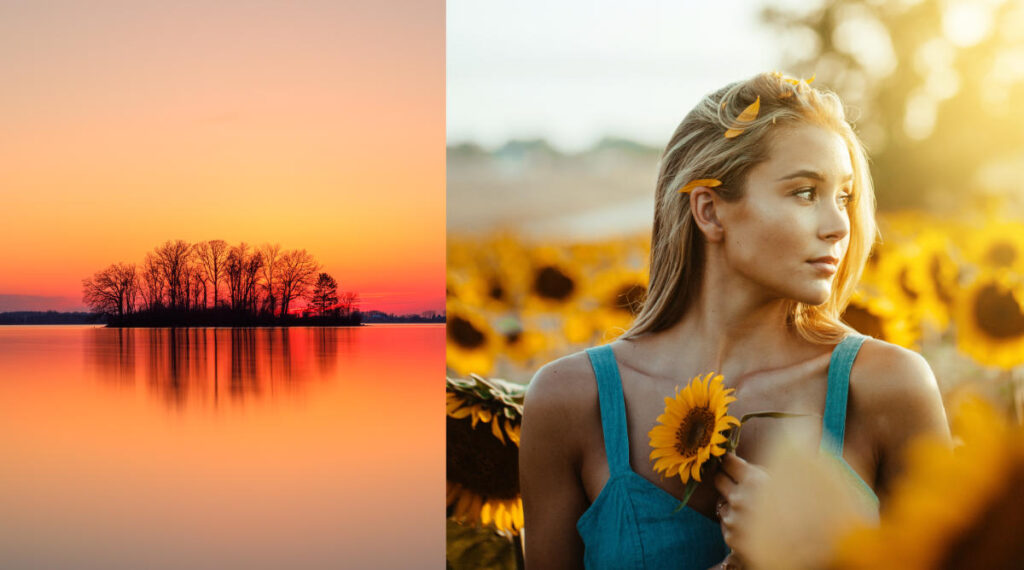 Δωρεάν μαθήματα φωτογραφίας, σεμινάρια φωτογραφίας, μαθήματα φωτογραφίας