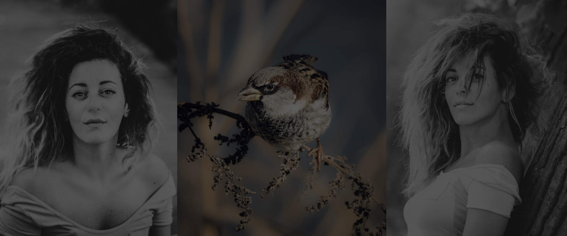 ΜΥΣΤΙΚΑ ΚΑΙ ΤΕΧΝΙΚΕΣ ΓΙΑ ULTRA SHARP ΦΩΤΟΓΡΑΦΙΕΣ